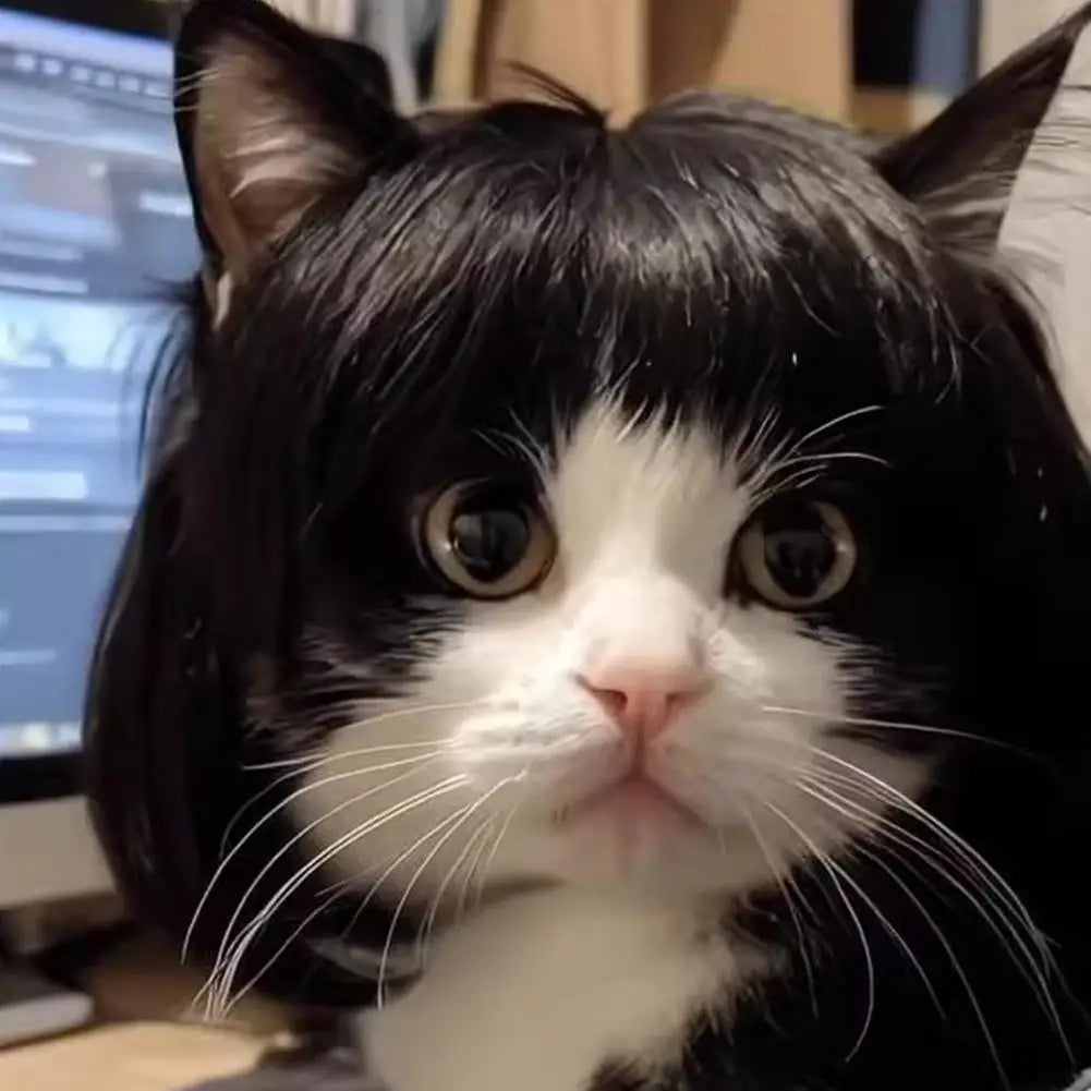 Cat Wig Accessories Dog Headdress Funny Costume Puppy Cosplay Dress Up Cute Pet Wig Cosplay Funny Props Head Accessories