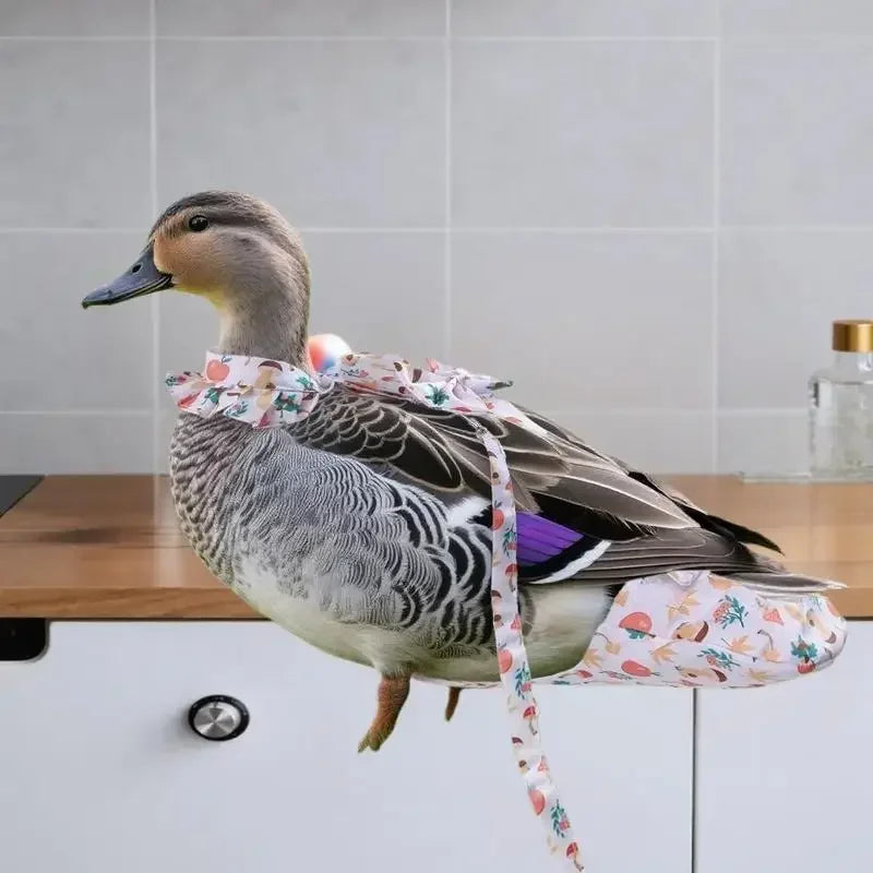 1/2Pcs Cute Cartoon Fashion Chicken Duck Vest Diaper Hen Belt Pet Traction Rope Set Comfortable Leads Pet Poultry Supplies