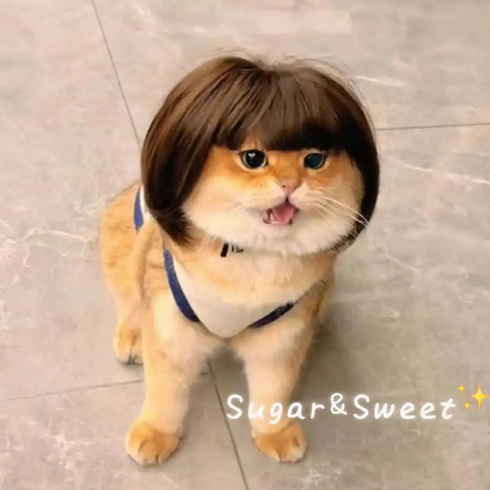 Cat Wig Accessories Dog Headdress Funny Costume Puppy Cosplay Dress Up Cute Pet Wig Cosplay Funny Props Head Accessories