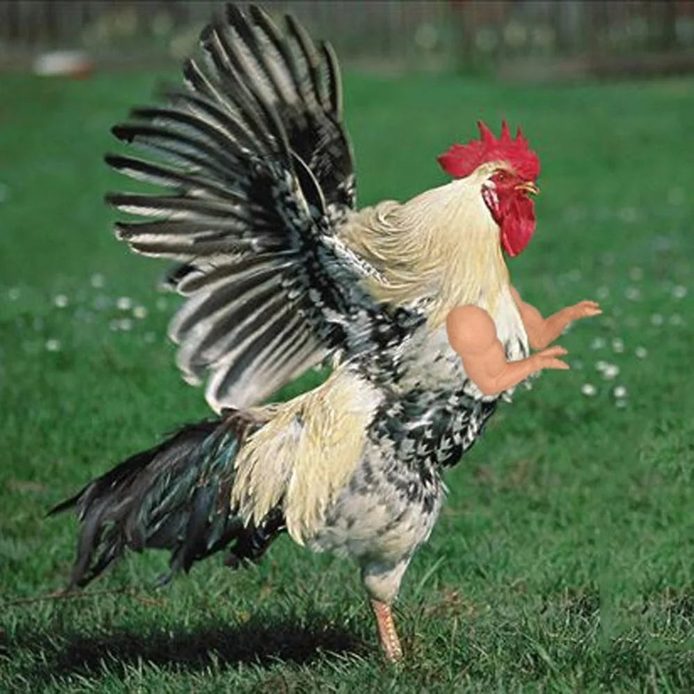 Funny Fighting Chicken Arms Toys Giant Arm Hulk Arms Chicken Forelimb Toy Novelty Artificial Chicken Arm Decoration Halloween