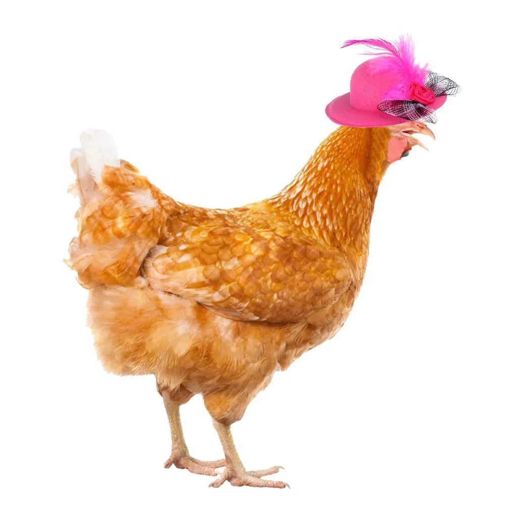 Adjustable Rooster Duck Stylish Show Costum Chicken Hats Cap for Hens Pets Supplies Feather Top Hat