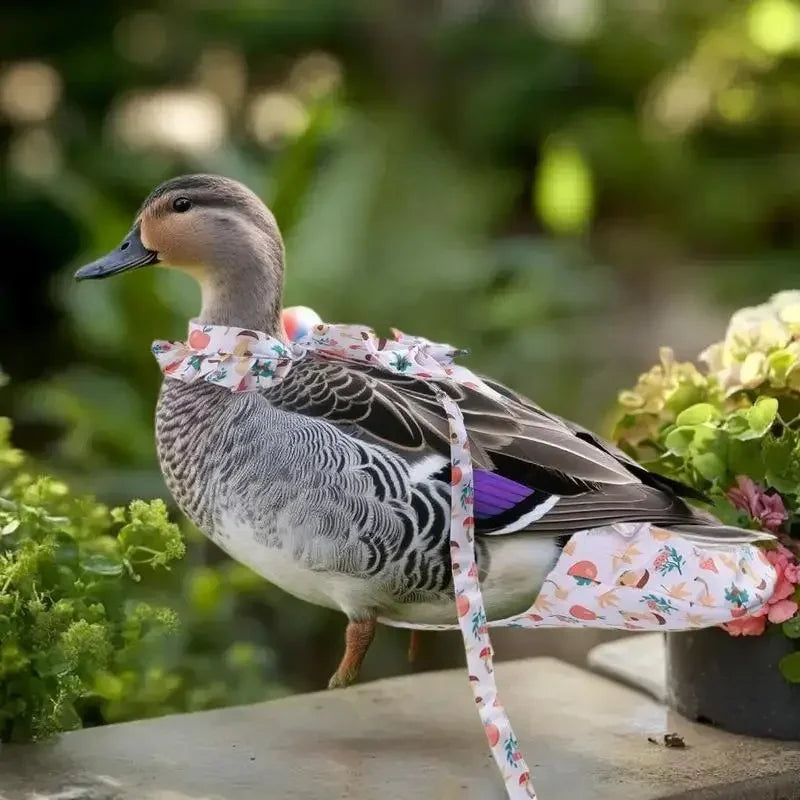 1/2Pcs Cute Cartoon Fashion Chicken Duck Vest Diaper Hen Belt Pet Traction Rope Set Comfortable Leads Pet Poultry Supplies