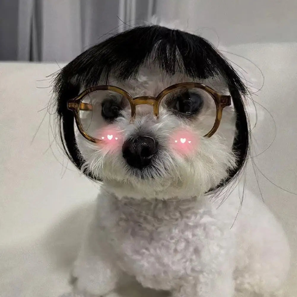 Cat Wig Accessories Dog Headdress Funny Costume Puppy Cosplay Dress Up Cute Pet Wig Cosplay Funny Props Head Accessories