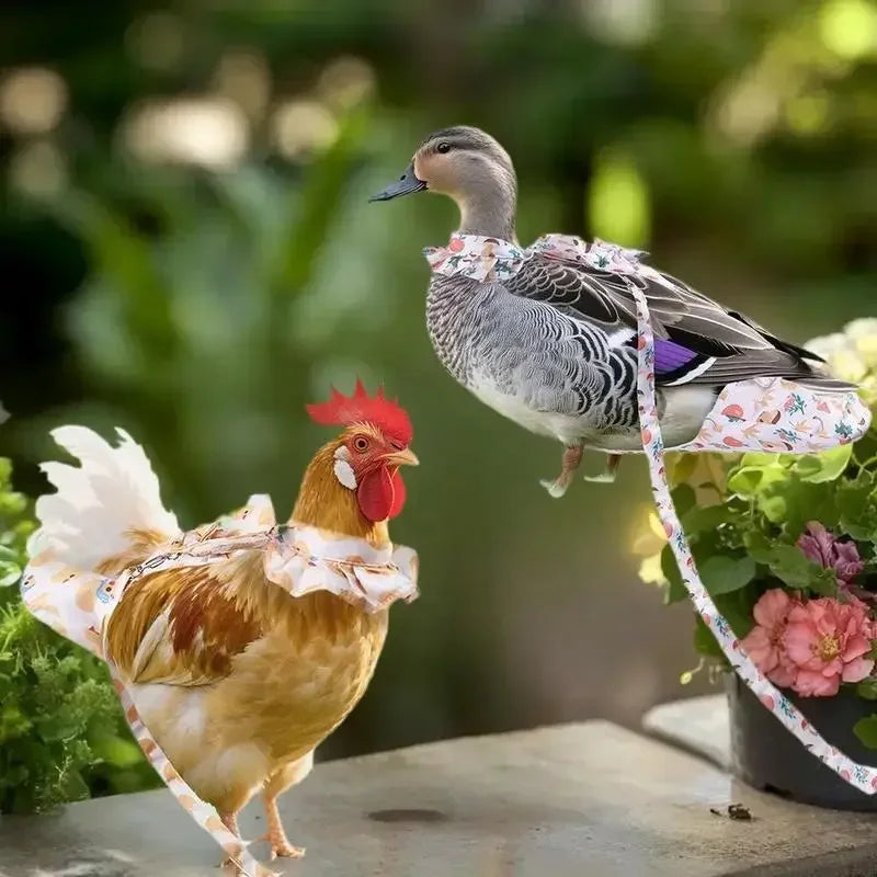1/2Pcs Cute Cartoon Fashion Chicken Duck Vest Diaper Hen Belt Pet Traction Rope Set Comfortable Leads Pet Poultry Supplies