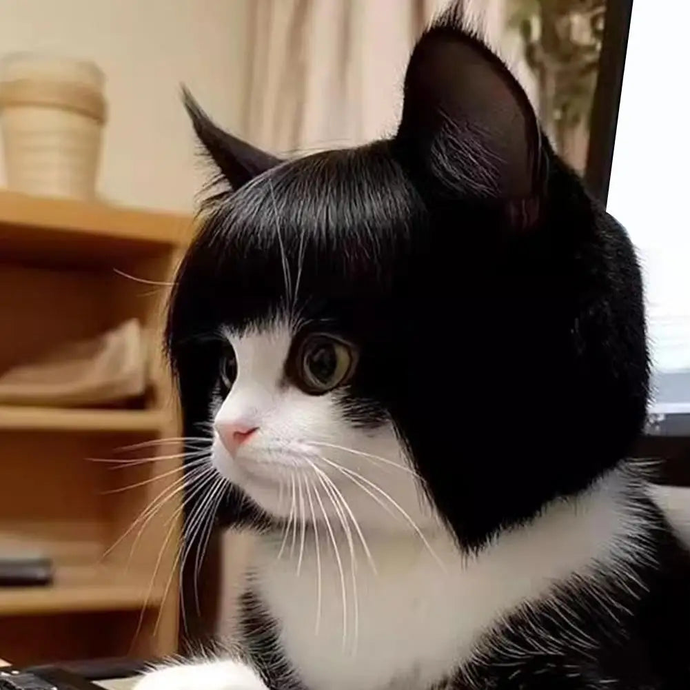 Cat Wig Accessories Dog Headdress Funny Costume Puppy Cosplay Dress Up Cute Pet Wig Cosplay Funny Props Head Accessories