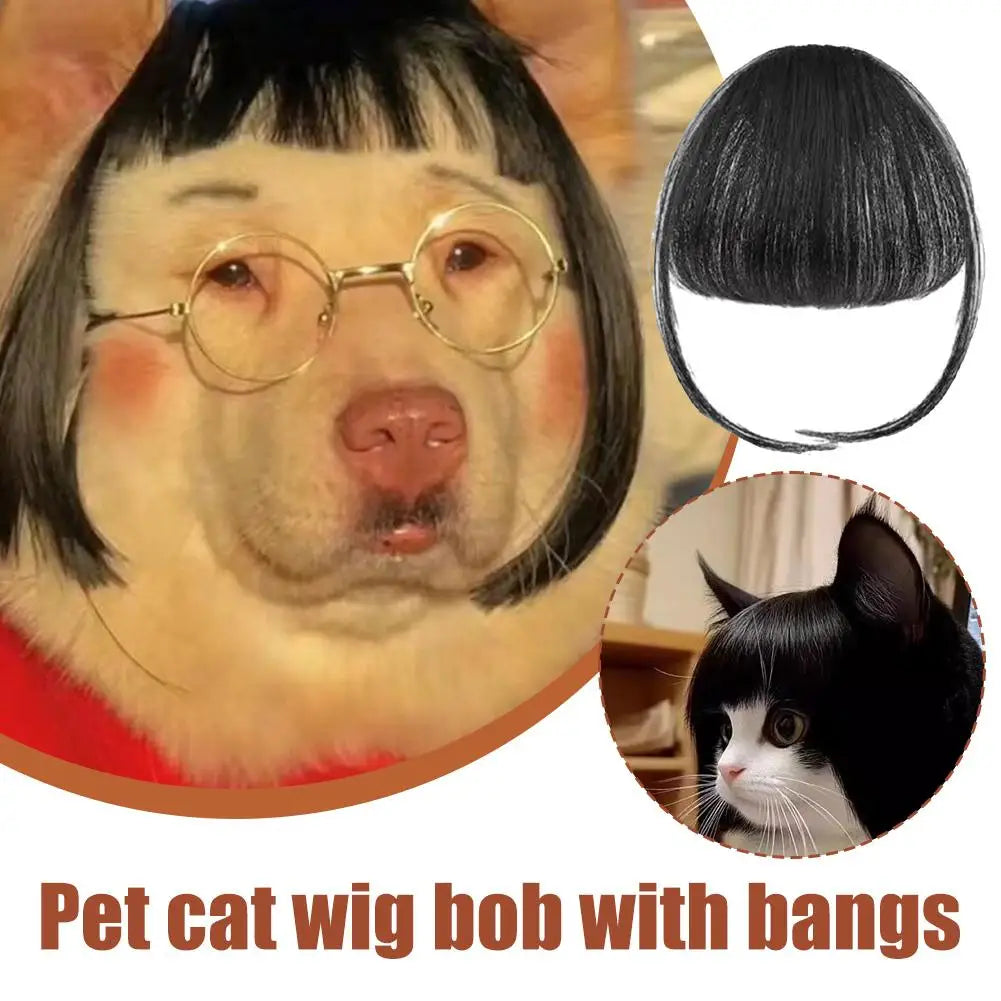 Cat Wig Accessories Dog Headdress Funny Costume Puppy Cosplay Dress Up Cute Pet Wig Cosplay Funny Props Head Accessories