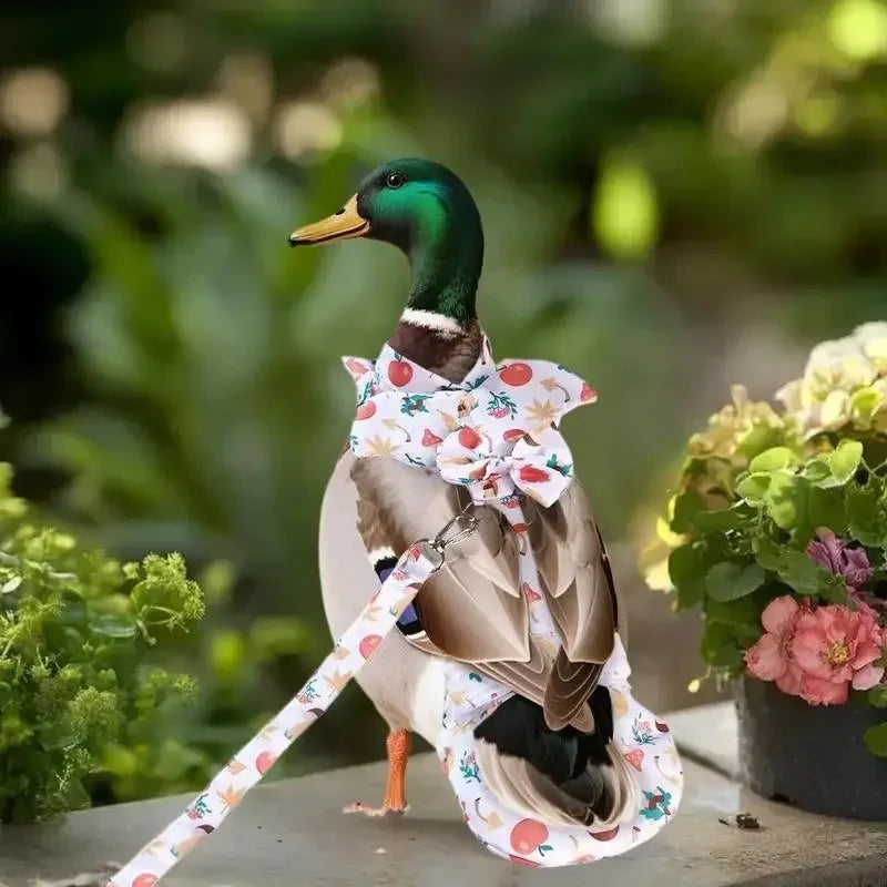 1/2Pcs Cute Cartoon Fashion Chicken Duck Vest Diaper Hen Belt Pet Traction Rope Set Comfortable Leads Pet Poultry Supplies